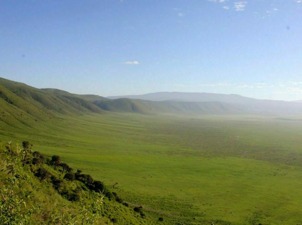 Safari Cratere Ngorongoro