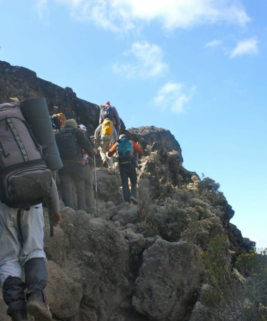 Trekking di gruppo al Kilimandjaro per la via Machame