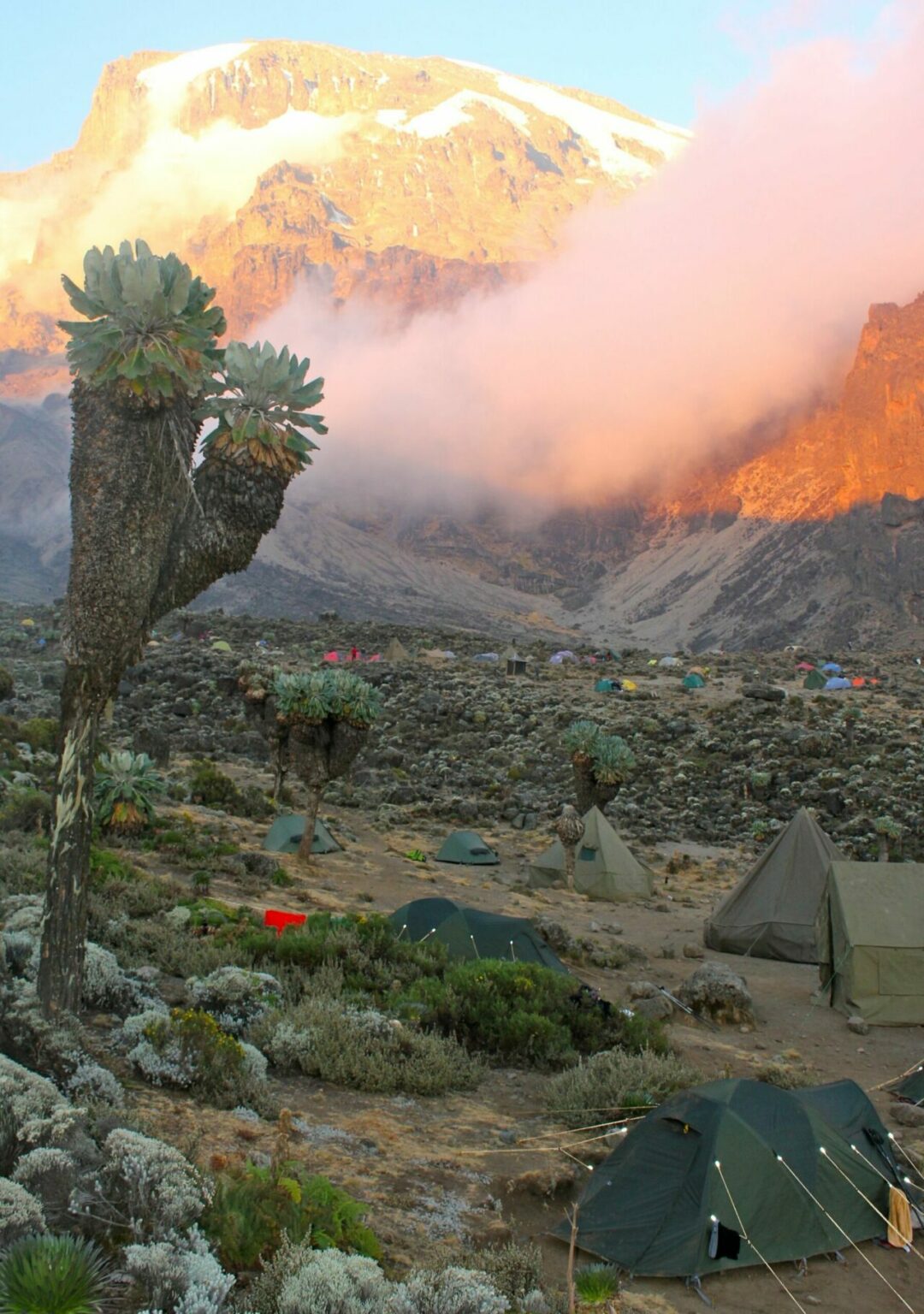 Campeggio ai piedi del Kilimandjaro