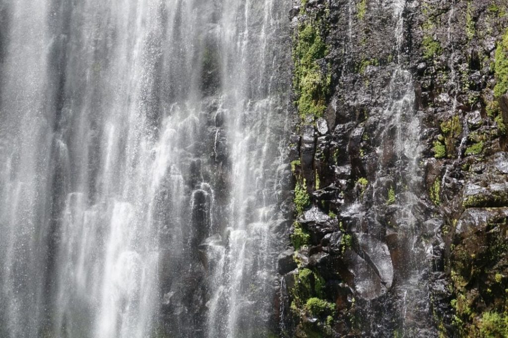 Parc-National-Udzungwa