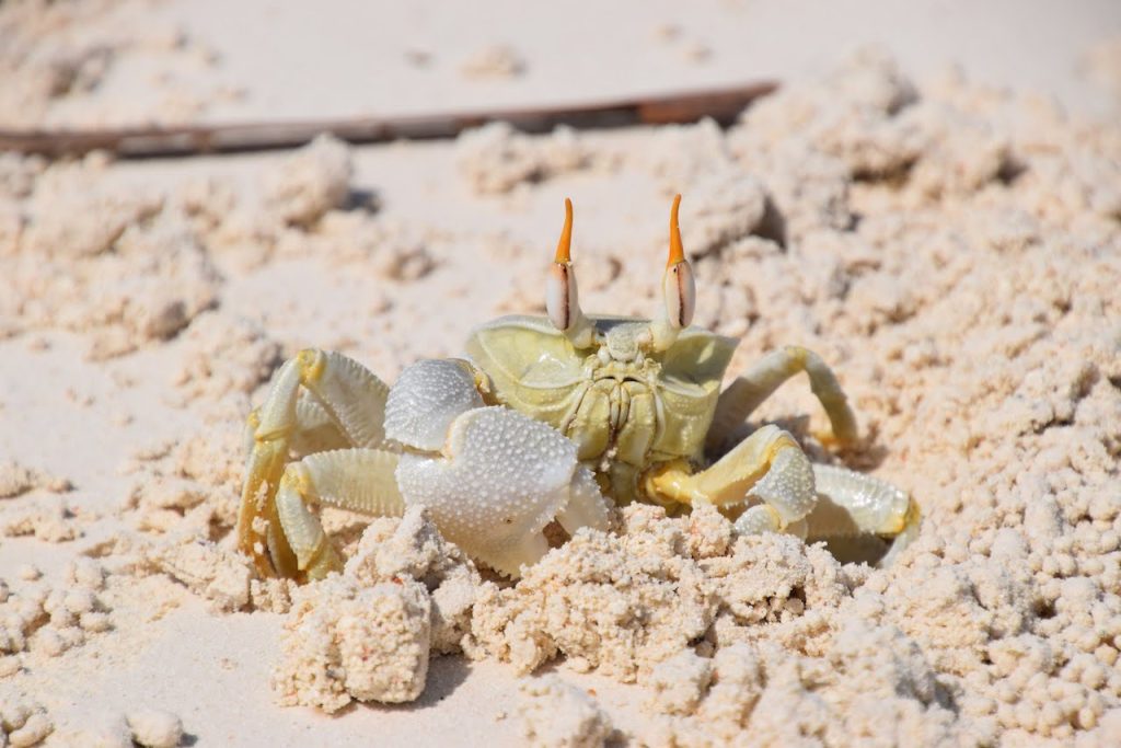 voyage Zanzibar