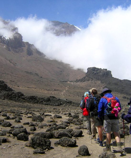 Ascesa del Kilimandjaro per la via Marangu