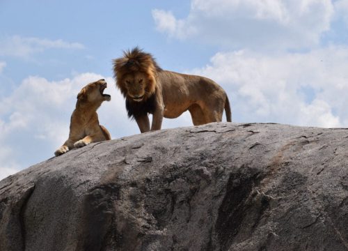 Manyara