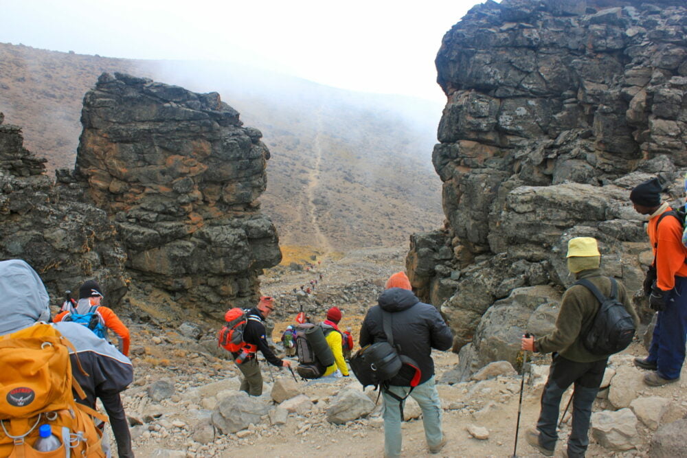Randonnee Kilimandjaro