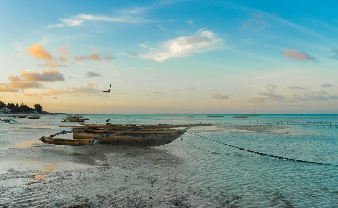L'isola di Pemba