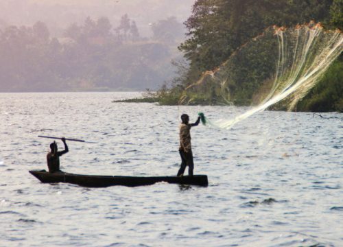 Quali sono i laghi del Rift dell’Africa orientale?