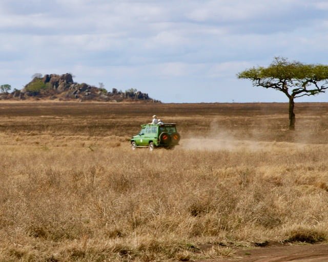 4x4 Safari