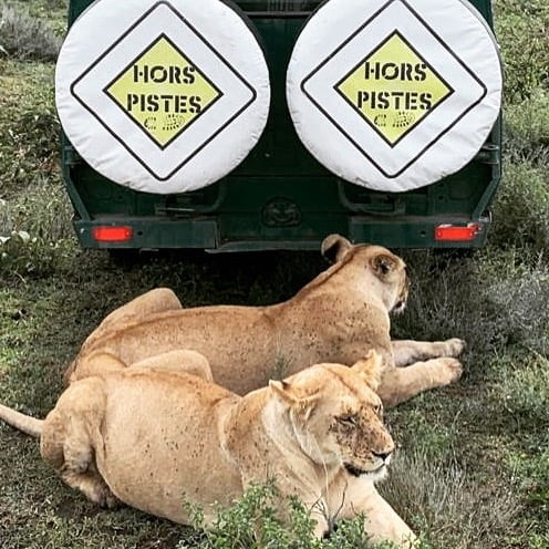 Safari Experience