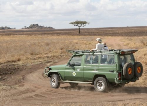 Quando partire in Tanzanie per visitare il Serengeti?