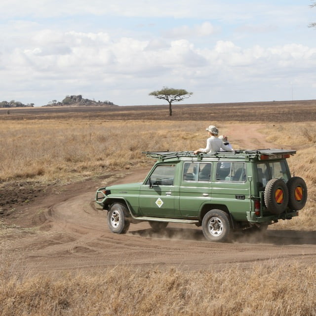 Guida Safari
