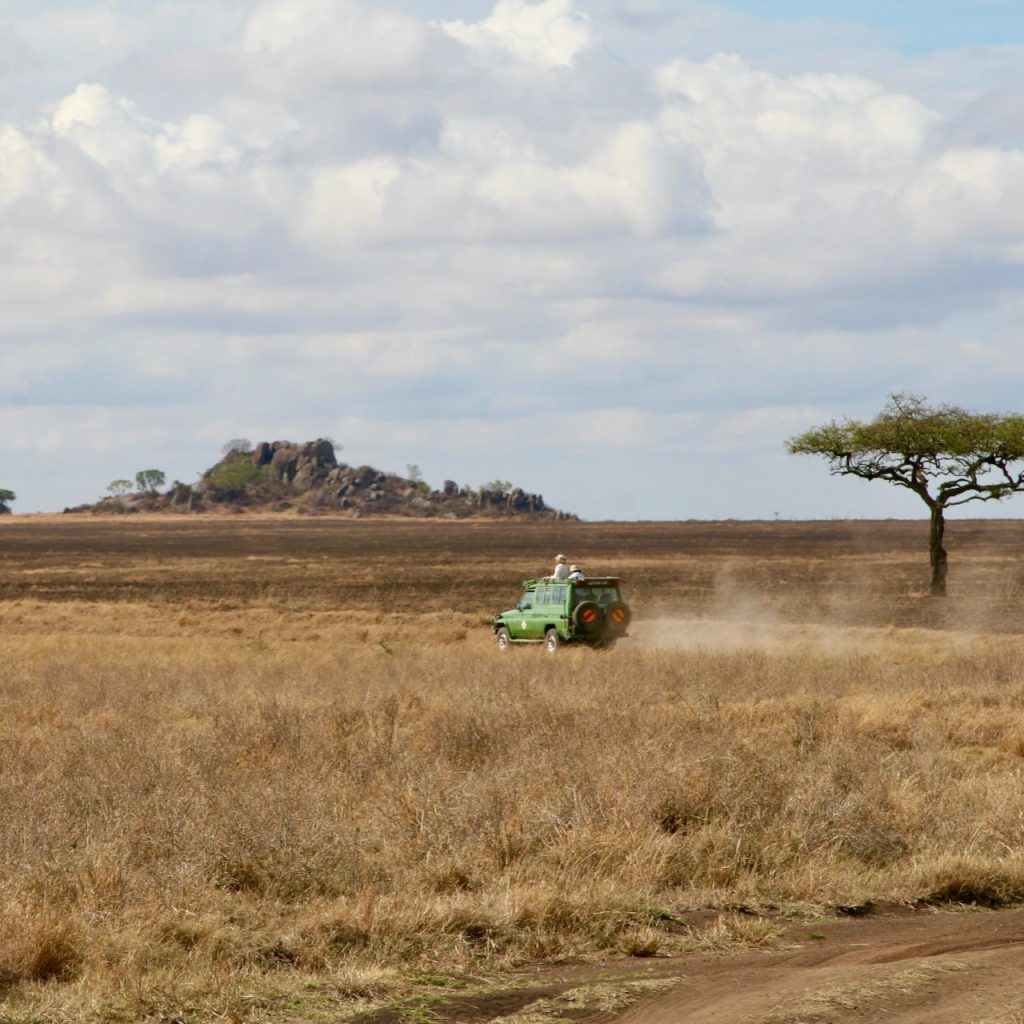 La savana della Tanzania