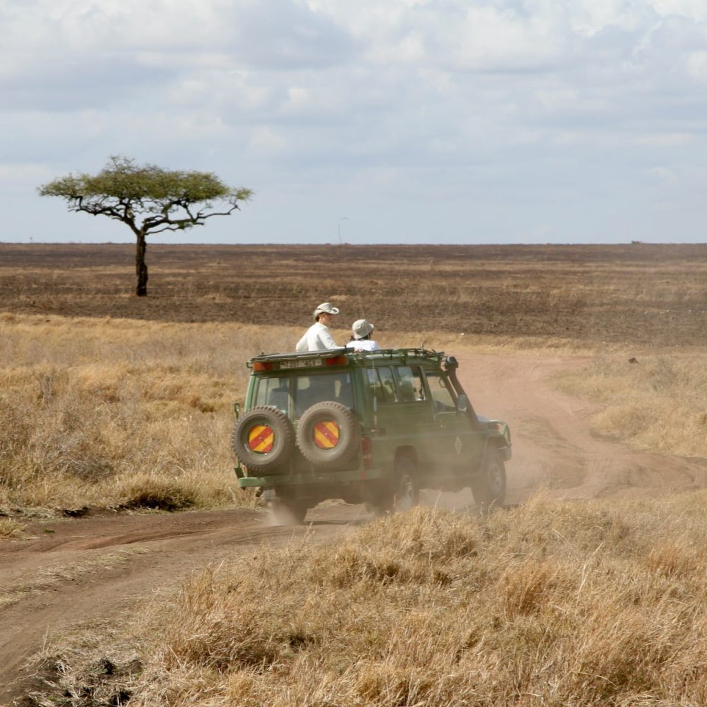 Jeep Safari Tanzania