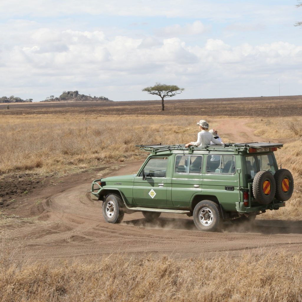 Safari Tanzania 4x4