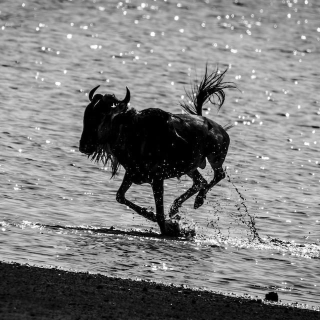 Mongolfiera in Tanzania