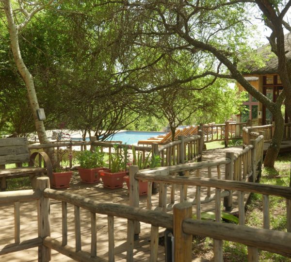 Lodge di lusso Tanzanie