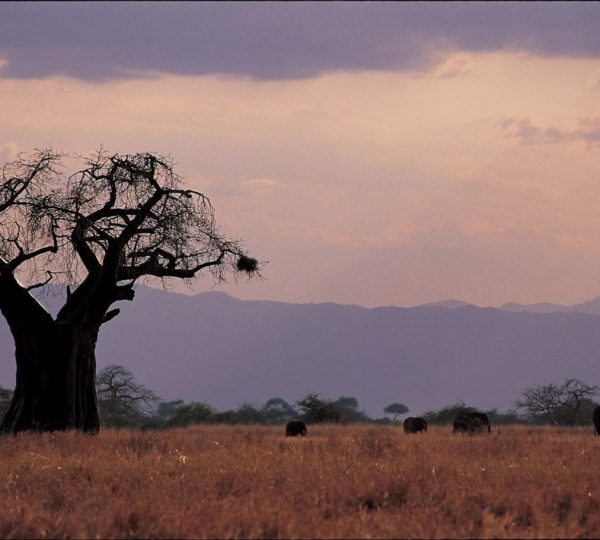 Più vicino alla natura