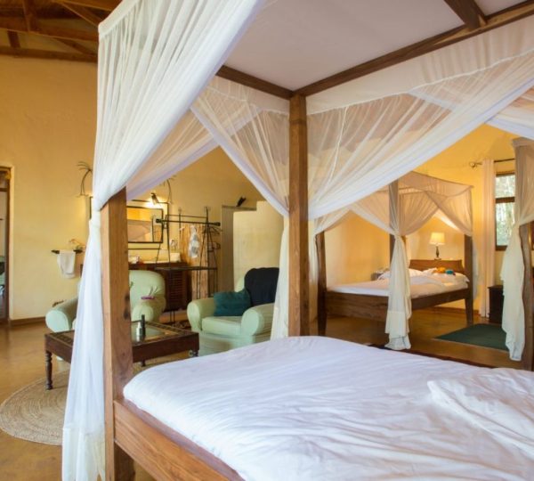Chambre confort Ngorongoro Farm House