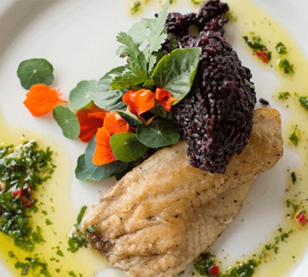 Gastronomia