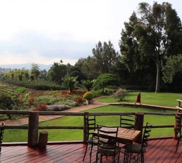 Terrazza