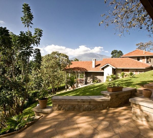 Giardino