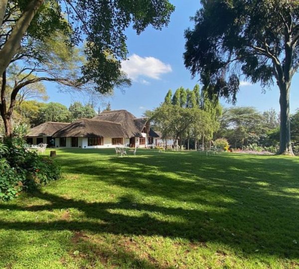 Giardino
