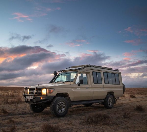 Safari 4x4