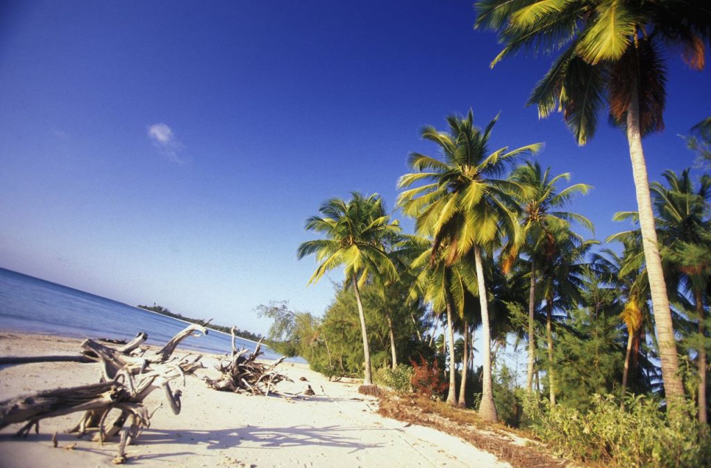 Michamvi Beach a Zanzibar