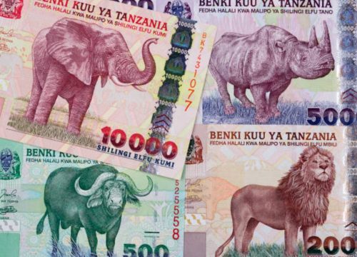 Quale mancia prevedere durante il vostro soggiorno a Zanzibar?