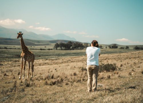 Safari fotografico Tanzanie