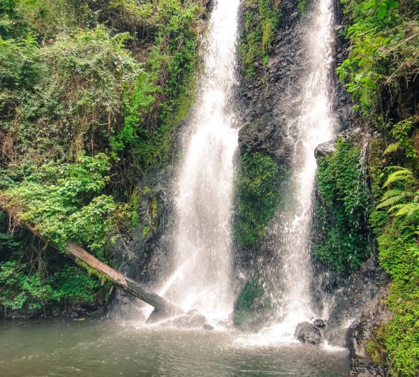 Cascade Marangu Kilimandjaro