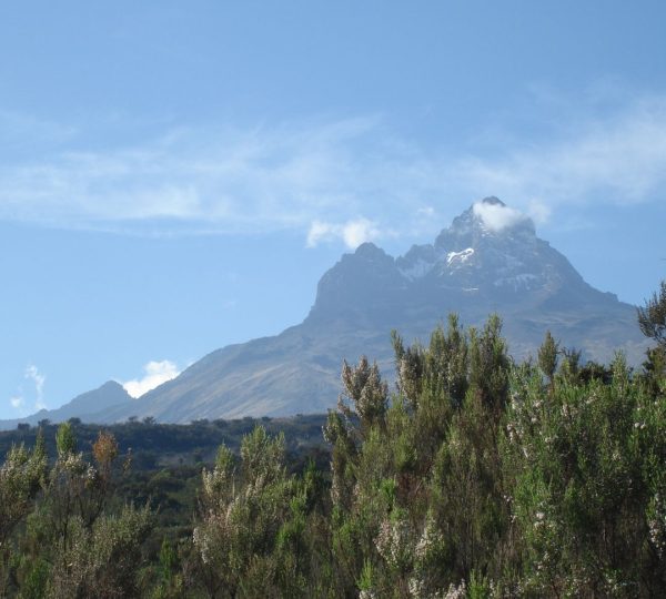 Mawenzi