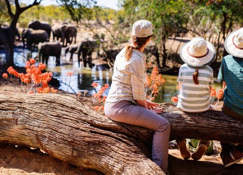 Safari in Tanzania in famiglia